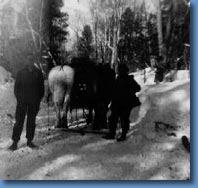 Horses