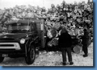 Logging