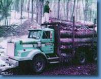 Log Truck